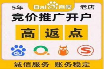 竞价广告的投放策略与网络推广的实践案例